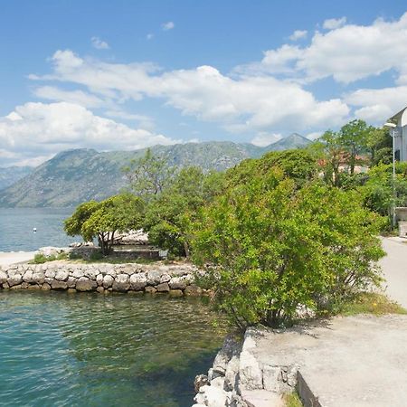 Villa Iva Kotor Ngoại thất bức ảnh